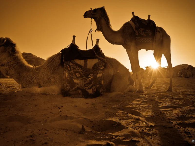 Wadi Rum,Unique Wonders Of Jordan