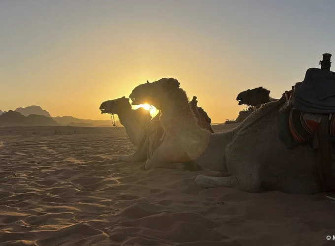 Wadi Rum, Trekking Beyond The Moon,