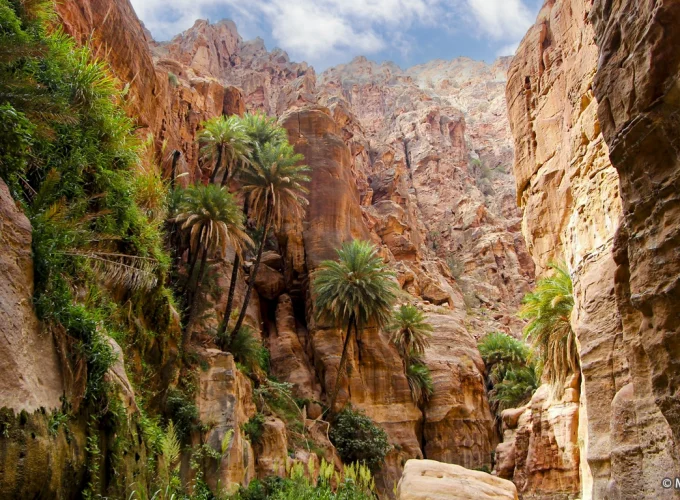 wadi Mujib, Wadi Al Mujib